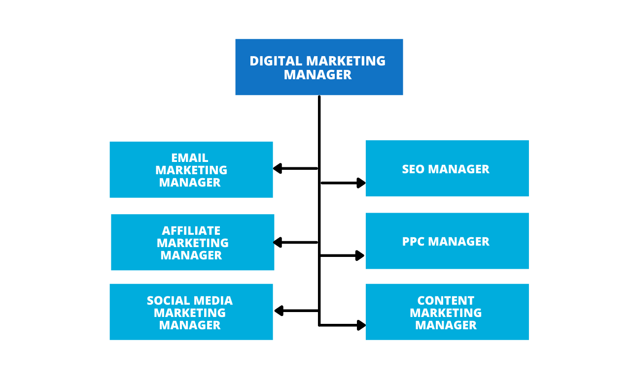 Digital Marketing Manager Role