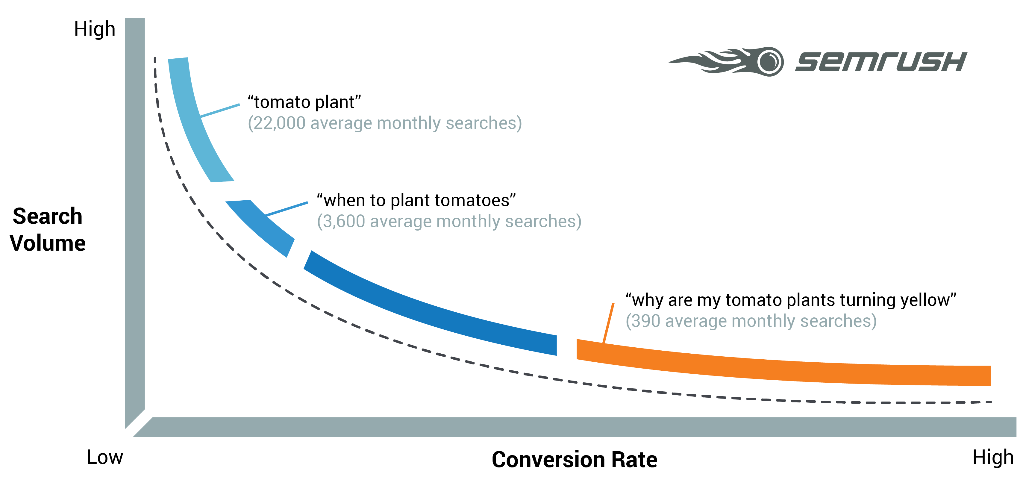 Long Tail Keywords - Search Curve