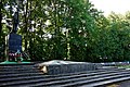 ! Вижниця (72) Братська могила радянських воїнів.jpg