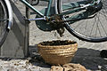 - Bee swarm on a bicycle (5-5) -.jpg