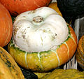 - Pumpkins - detail 2.jpg