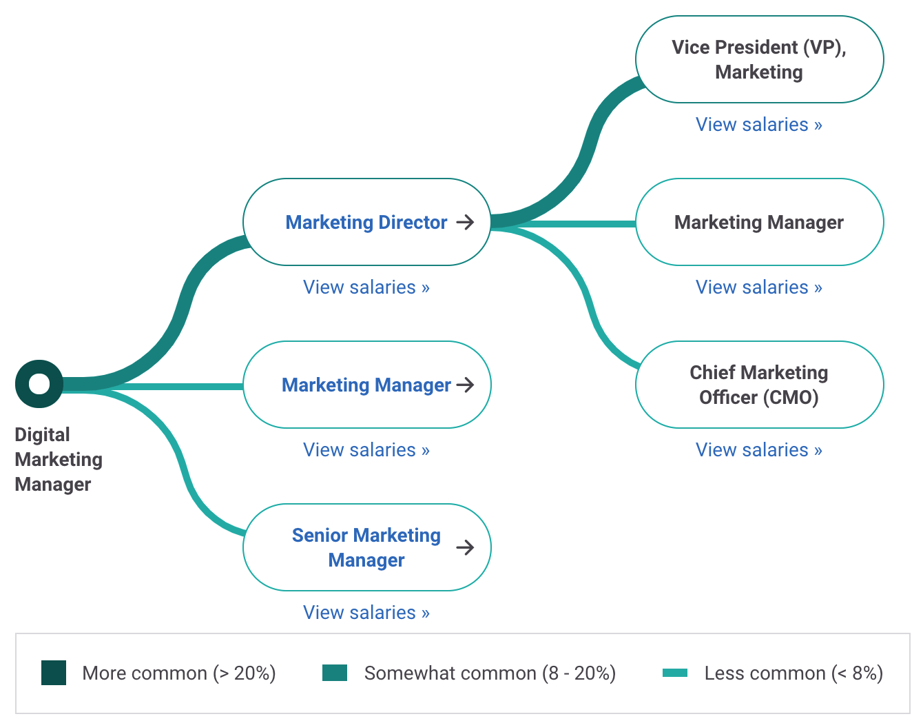 Digital Marketing Manager Career Path
